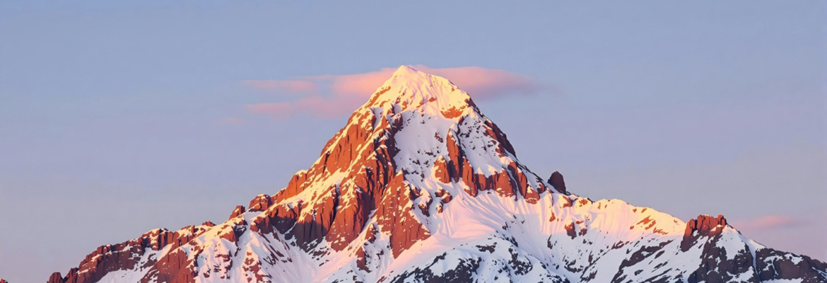 传递信任 服务发展